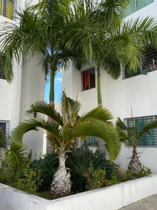 Comodas 3 Hab Con Piscina, Wifi 1Er Nivel Santiago De Los Caballeros Eksteriør bilde